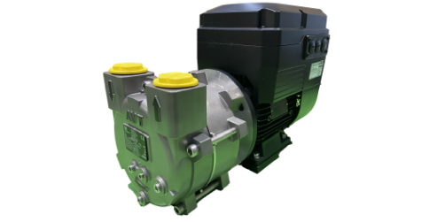 Monoblock liquid ring vacuum pumps driven by permanent magnet motors